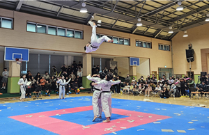 국기 태권도 세계화 대회 학과를 상징하는사진